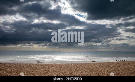 Due gabbiani che si trovano sulla spiaggia di ciottoli si affacciano sul mare a Bognor Regis, West Sussex, UK. Foto Stock