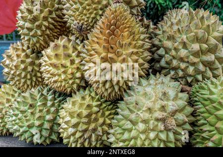 09 07 2007 frutta Durian, Colombo, Ceylon, Sri Lanka, Repubblica Democratica Socialista dello Sri Lanka, Asia Foto Stock