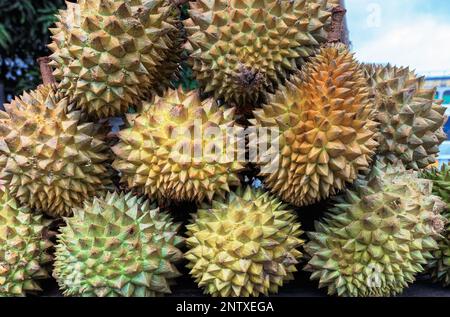 09 07 2007 frutta Durian, Colombo, Ceylon, Sri Lanka, Repubblica Democratica Socialista dello Sri Lanka, Asia Foto Stock