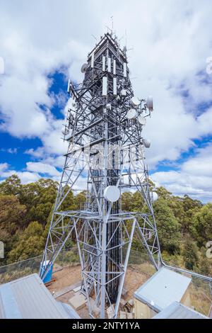 Paesaggio estivo al Monte St Leonard in Australia Foto Stock