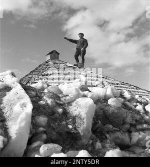 Disastro naturale negli anni '1940s. All'inizio dell'estate 20-23 maggio 1944, l'acqua nel fiume Torne älv si è inondata a causa di una massa di ghiaccio che ha smorzato l'acqua 3,5 metri più alta del normale. Le conseguenze sono state gravi. Sul terreno circostante sono stati lasciati dei metri di ghiaccio quando l'acqua si è scaricata e ha distrutto gli edifici agricoli e i campi. Un uomo in cima al tetto di un edificio agricolo che è coperto di masse di ghiaccio vicino al villaggio Korpikylä vicino a Skogskärr Kristoffersson Ref H133-1 Foto Stock