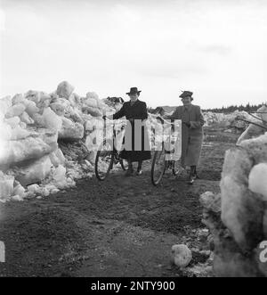 Disastro naturale negli anni '1940s. All'inizio dell'estate 20-23 maggio 1944, l'acqua nel fiume Torne älv si è inondata a causa di una massa di ghiaccio che ha smorzato l'acqua 3,5 metri più alta del normale. Le conseguenze sono state gravi. Sul terreno circostante sono stati lasciati dei metri di ghiaccio quando l'acqua si è scaricata e ha distrutto gli edifici agricoli e i campi. La strada principale che ha appena eliminato del ghiaccio-copertura e due donne locali che conducono le loro biciclette vicino al villaggio Korpikylä vicino a Skogskärr Kristoffersson Ref H119-4 Foto Stock