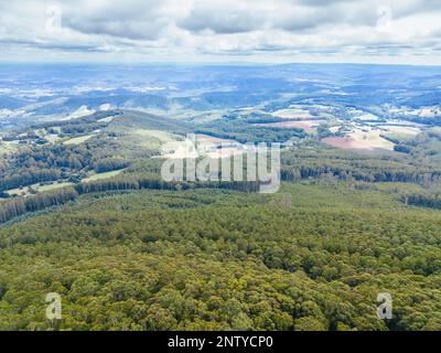 Paesaggio estivo al Monte St Leonard in Australia Foto Stock