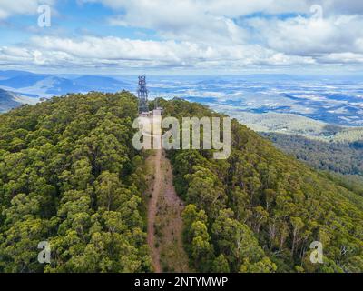 Paesaggio estivo al Monte St Leonard in Australia Foto Stock