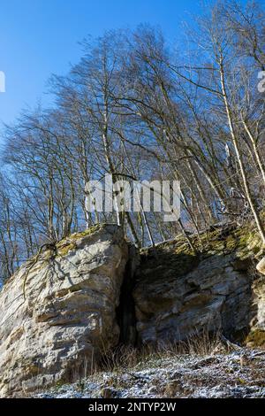 Europa, Lussemburgo, Mullerthal, il sentiero Mullerthal che attraversa formazioni rocciose della Valle nera di Ernz in inverno Foto Stock