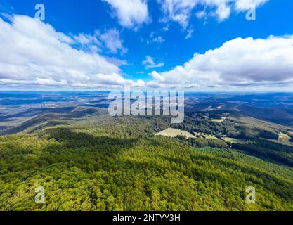 Paesaggio estivo al Monte St Leonard in Australia Foto Stock