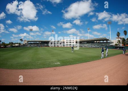 Sarasota FL USA; Una visione generale del campo prima di una partita di allenamento primaverile della MLB tra i Baltimore Orioles e i Tampa Bay Rays a ed Smith sta Foto Stock