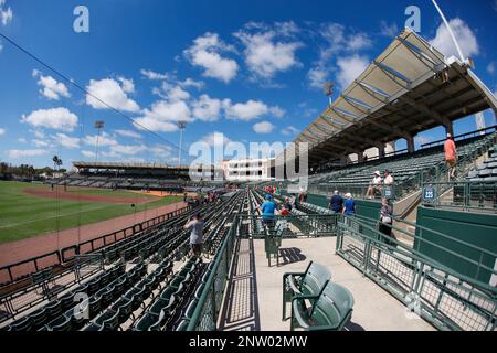 Sarasota FL USA; Una visione generale del campo prima di una partita di allenamento primaverile della MLB tra i Baltimore Orioles e i Tampa Bay Rays a ed Smith sta Foto Stock
