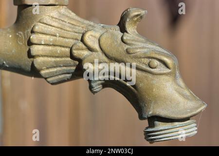 Macrofone di un antico rubinetto in bronzo a forma di drago. Foto Stock