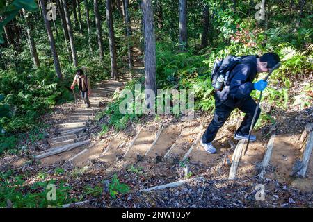 Pellegrini in Kumano Kodo vicino Kumano Hongu Taisha grand Santuario, Nakahechi percorso, Wakayama, Kinki, Giappone Foto Stock