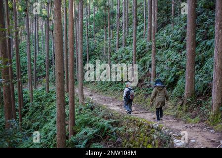 Pellegrini in Kumano Kodo vicino Kumano Hongu Taisha grand Santuario, Nakahechi percorso, Wakayama, Kinki, Giappone Foto Stock