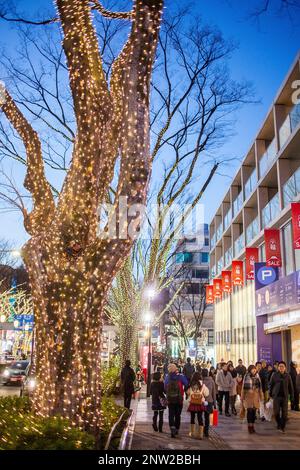 Decorazione di natale in Omotesando street, a destra Omotesando Hills shopping mall progettato da Tadao Ando, Tokyo, Giappone. Foto Stock