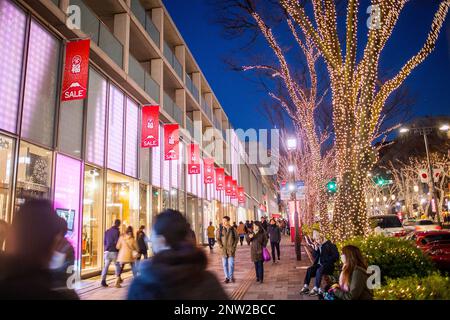 Decorazione di natale in Omotesando street, a sinistra Omotesando Hills shopping mall progettato da Tadao Ando, Tokyo, Giappone. Foto Stock