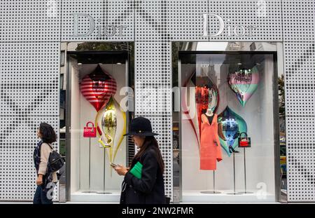 Dior store, in Harumi St, Ginza,Tokyo Giappone. Foto Stock