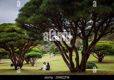 Shinjuku Gyoen park, Tokyo Foto Stock