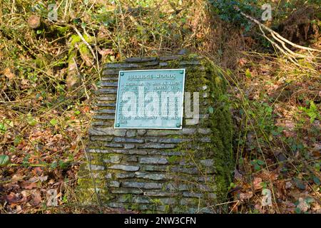 Burridge Woods Memorial vicino a Dulverton nel Parco Nazionale Exmoor, Somerset, Inghilterra. Foto Stock