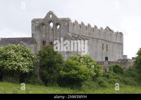 Esterno della Ardfert Cathedral County Kerry EIRE Irlanda Foto Stock