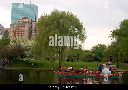 Un'iconica barca a forma di cigno scivola attraverso il Boston Publik Garden con lo skyline della città alle sue spalle Foto Stock