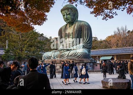 Il Daibutsu (bronzo Grande Buddha). Kotoku-in tempio a Kamakura, Giappone Foto Stock