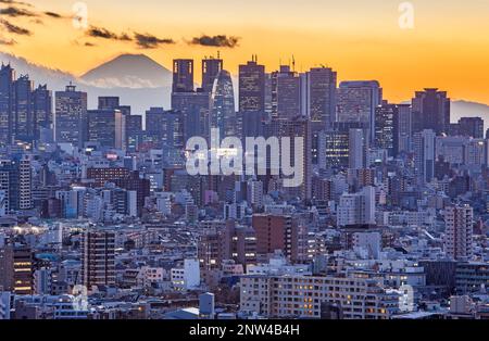 Grattacieli di Shinjuku e il Monte Fuji, Tokyo, Giappone Foto Stock