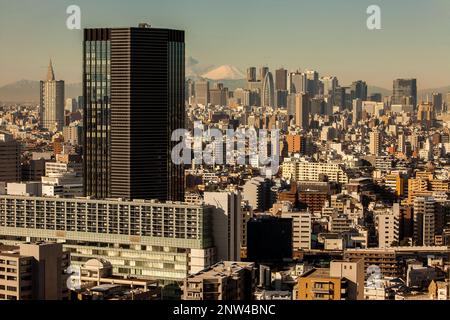 Grattacieli di Shinjuku e il Monte Fuji, Tokyo, Giappone Foto Stock
