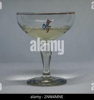 Un bicchiere di Babycham in vetro originale, Regno Unito. Foto Stock