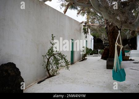 Grande albero di eucalipto nel cortile del tradizionale finca casa colonica imbiancato dimora storica a Lanzarote, Isole Canarie, Spagna il c Foto Stock