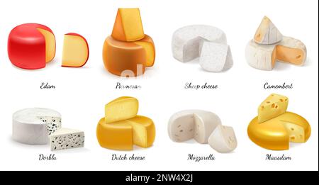 Icona realistica del formaggio con pecora parmigiano edam e camembert formaggio olandese dorblu mozzarella maasdam illustrazione vettore Illustrazione Vettoriale