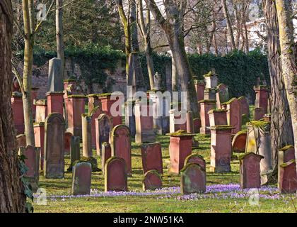SHUM Vecchio cimitero ebraico medievale, Judensand , Mombacher Strasse. 61, 55122 Magonza, Renania-Palatinato, Germania Foto Stock