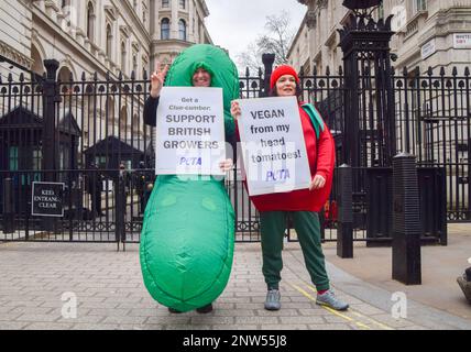 Londra, Regno Unito. 28th febbraio 2023. Gli attivisti DI PETA vestirono come un pomodoro e un cetriolo una protesta fuori Downing Street in risposta alla carenza di verdure. Gli attivisti stanno esortando il segretario per l'ambiente Thérèse Coffey a sostenere gli agricoltori britannici con sede negli impianti. Foto Stock