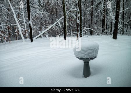 Bella scena invernale del Minnesota con alberi e bagni di uccelli coperti di neve nuova dopo una tempesta. Foto Stock