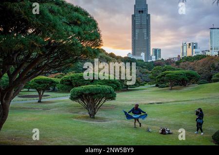 Shinjuku Gyoen park, Tokyo, Giappone Foto Stock