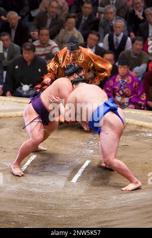 Torneo di sumo in Ryogoku kokugikan stadium,Tokyo city, Giappone Foto Stock