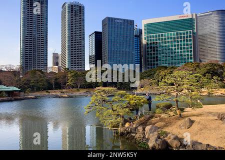 Giardiniere lavora in Hama Rykiu giardino,quartiere di Shiodome,Tokyo, Giappone, Asia Foto Stock