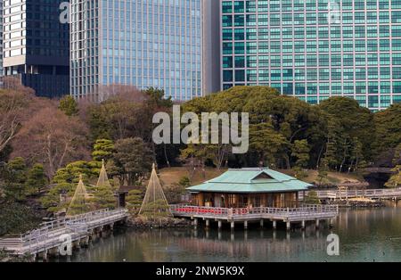 Hama Rykiu giardino,quartiere di Shiodome,Tokyo, Giappone, Asia Foto Stock