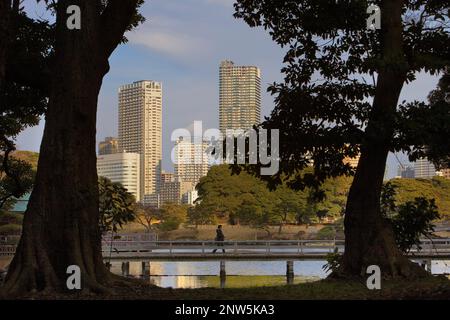 Hama Rykiu giardino,quartiere di Shiodome,Tokyo, Giappone, Asia Foto Stock