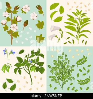 Piante floreali tecniche 2x2 Set di composizioni quadrate con icone isolate di semi di grano e illustrazione vettoriale di fiori Illustrazione Vettoriale