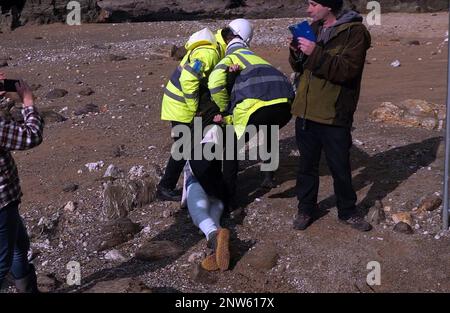 Beach protester trascinato dalla sicurezza sulla Cornish Beach UK Foto Stock