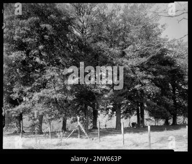 The Mansion, Bowling Green, Caroline County, Virginia. Carnegie Survey of the Architecture of the South. Stati Uniti Virginia Caroline County Bowling Green, Fences. Foto Stock