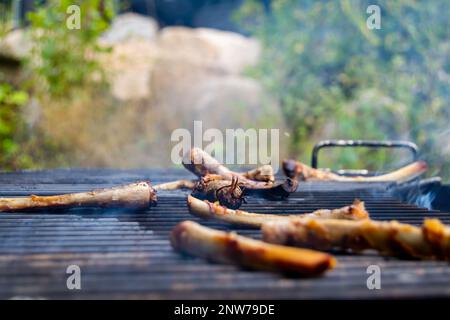 Ossa dalle nervature sulla griglia rotonda aperta del legno del fuoco. All'aperto legna che brucia buca di fuoco con cottura grates. Preparare e cucinare pasti deliziosi all'aperto. Fumo Foto Stock