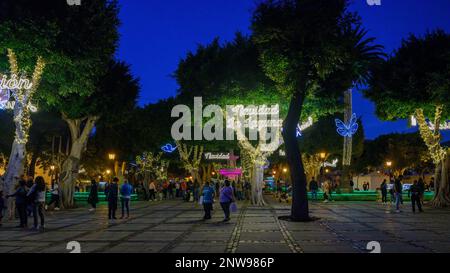 La folla si riunisce in Plaza del Adelantado a la Laguna, per vedere le luci e le decorazioni natalizie. Foto Stock