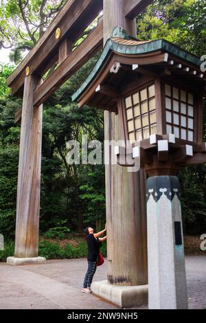 Tori gate nel santuario di Meiji Jingu .Tokyo city, Giappone, Asia Foto Stock