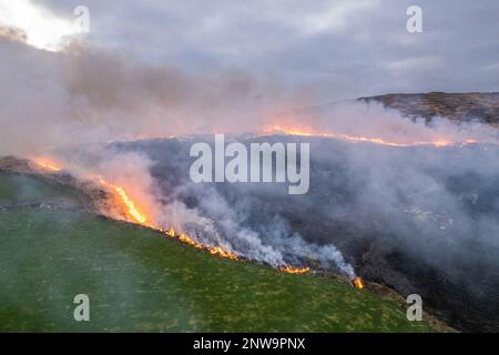 Goleen, West Cork, Irlanda. 28th Feb, 2023. Questa sera un enorme fuoco di gola brucia fuori controllo su una montagna sopra Goleen a Cork Ovest. Da domani è illegale bruciare la vegetazione fino al 1st settembre. La combustione della vegetazione è controllata dagli atti della fauna selvatica. Credit: AG News/Alamy Live News Foto Stock