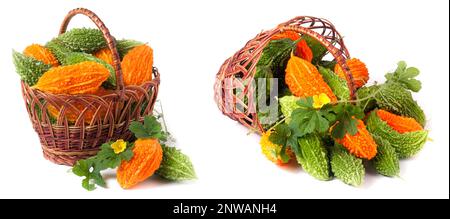 Il melone amaro o momordica in un cesto di vimini isolati su sfondo bianco Foto Stock