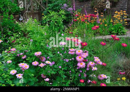 Cottage giardino letto di fiori con gerbera; gerani, primula; canna d'oro e foxglove Foto Stock