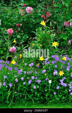 ritratto di giardino cottage letto di fiori con gerani, gigli e rose Foto Stock