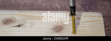 Immagine della testa di un cacciavite che inserisce una vite in un pezzo di legno. Fai da te e artigianato fatti in casa. Banner orizzontale Foto Stock