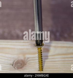 Immagine della testa di un cacciavite che inserisce una vite in un pezzo di legno. Fai da te e artigianato fatti in casa. Foto Stock
