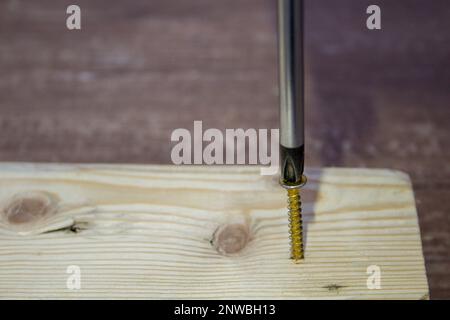 Immagine della testa di un cacciavite che inserisce una vite in un pezzo di legno. Fai da te e artigianato fatti in casa. Foto Stock