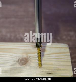 Immagine della testa di un cacciavite che inserisce una vite in un pezzo di legno. Fai da te e artigianato fatti in casa. Foto Stock